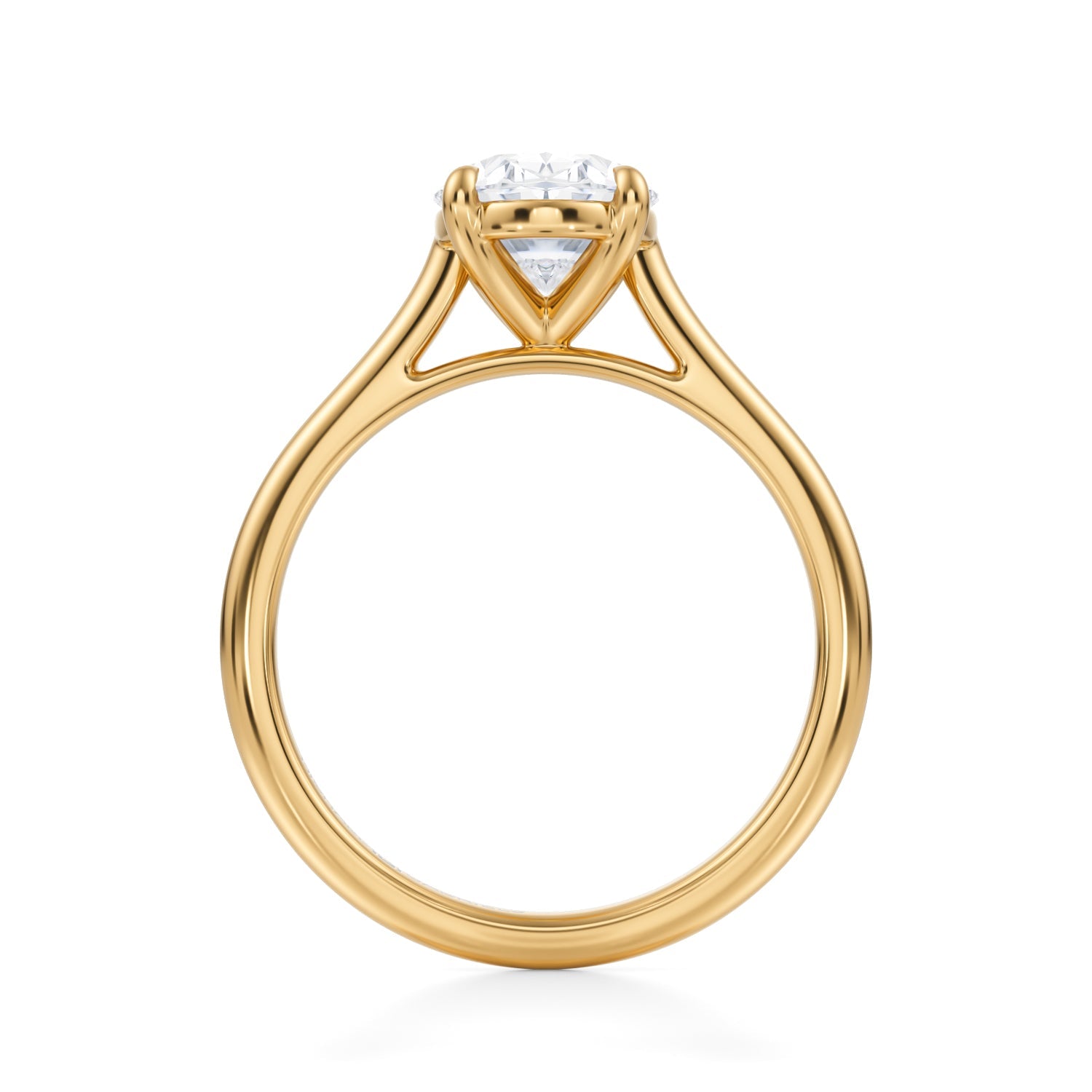 Classic Oval Cathedral Ring (1.00 Carat E-VS1) - Michael Gabriels