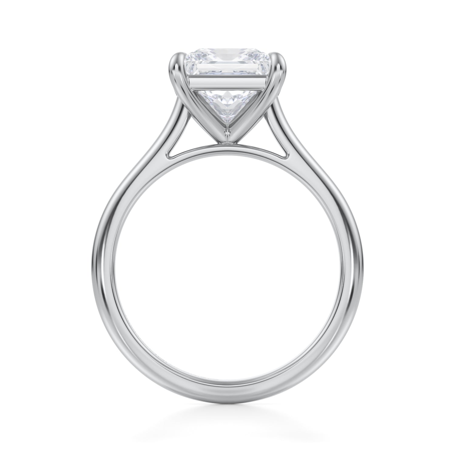 Classic Princess Cathedral Ring (1.00 Carat D-VS1) - Michael Gabriels