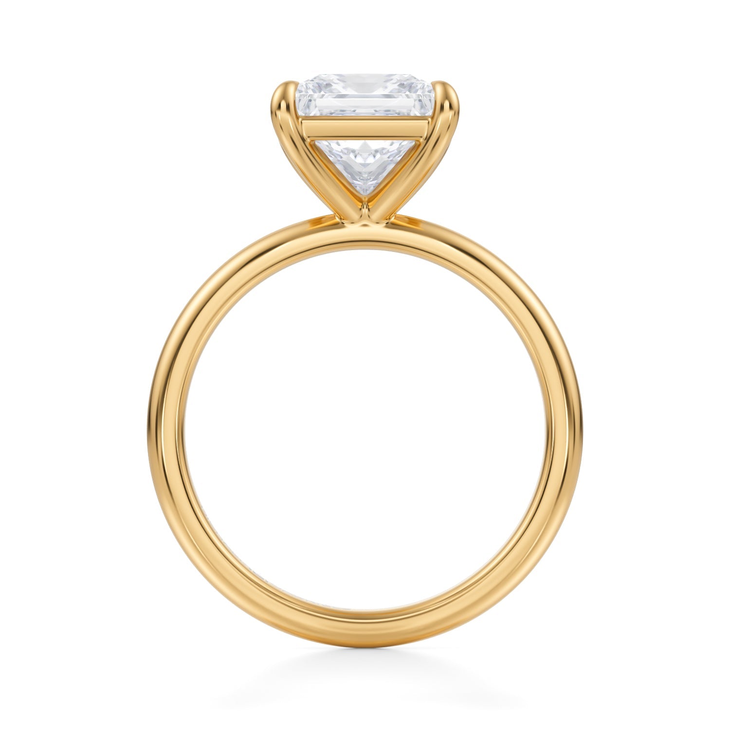 Princess Martini Basket Solitaire Ring (3.70 Carat E-VS1) - Michael Gabriels