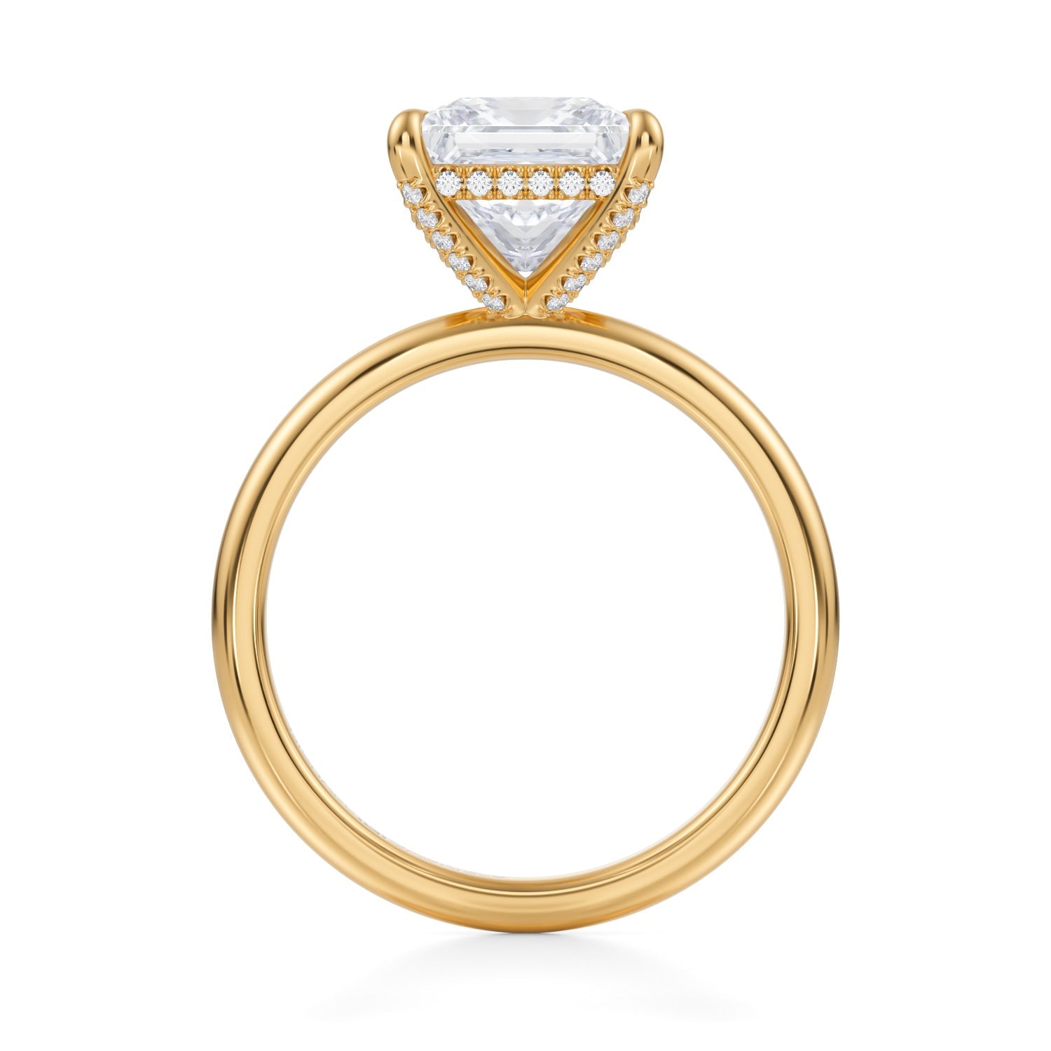 Princess Solitaire Ring With Pave Basket (3.00 Carat F-VS1) - Michael Gabriels