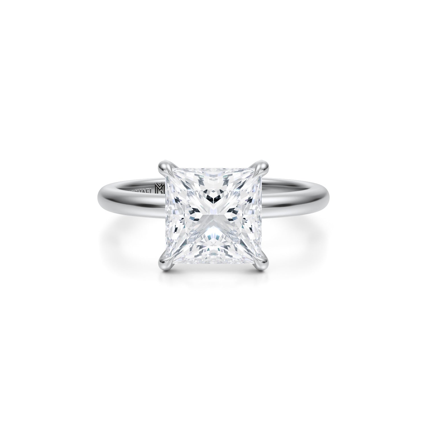 Princess Solitaire Ring With Pave Prongs (3.40 Carat E-VVS2) - Michael Gabriels
