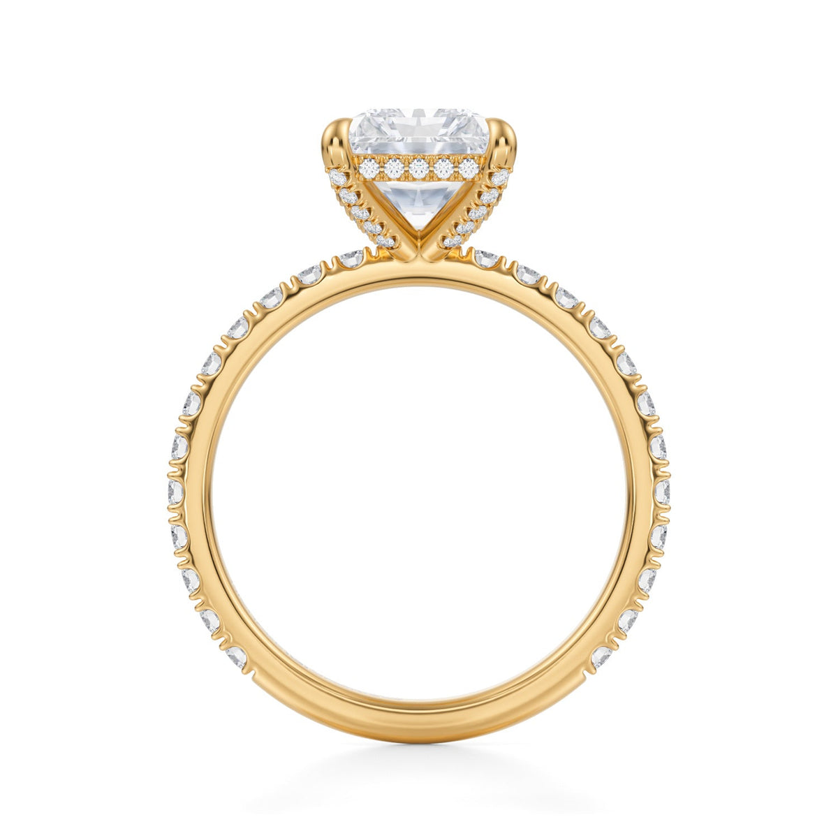 Radiant Pave Basket With Pave Ring (3.00 Carat E-VS1) - Michael Gabriels