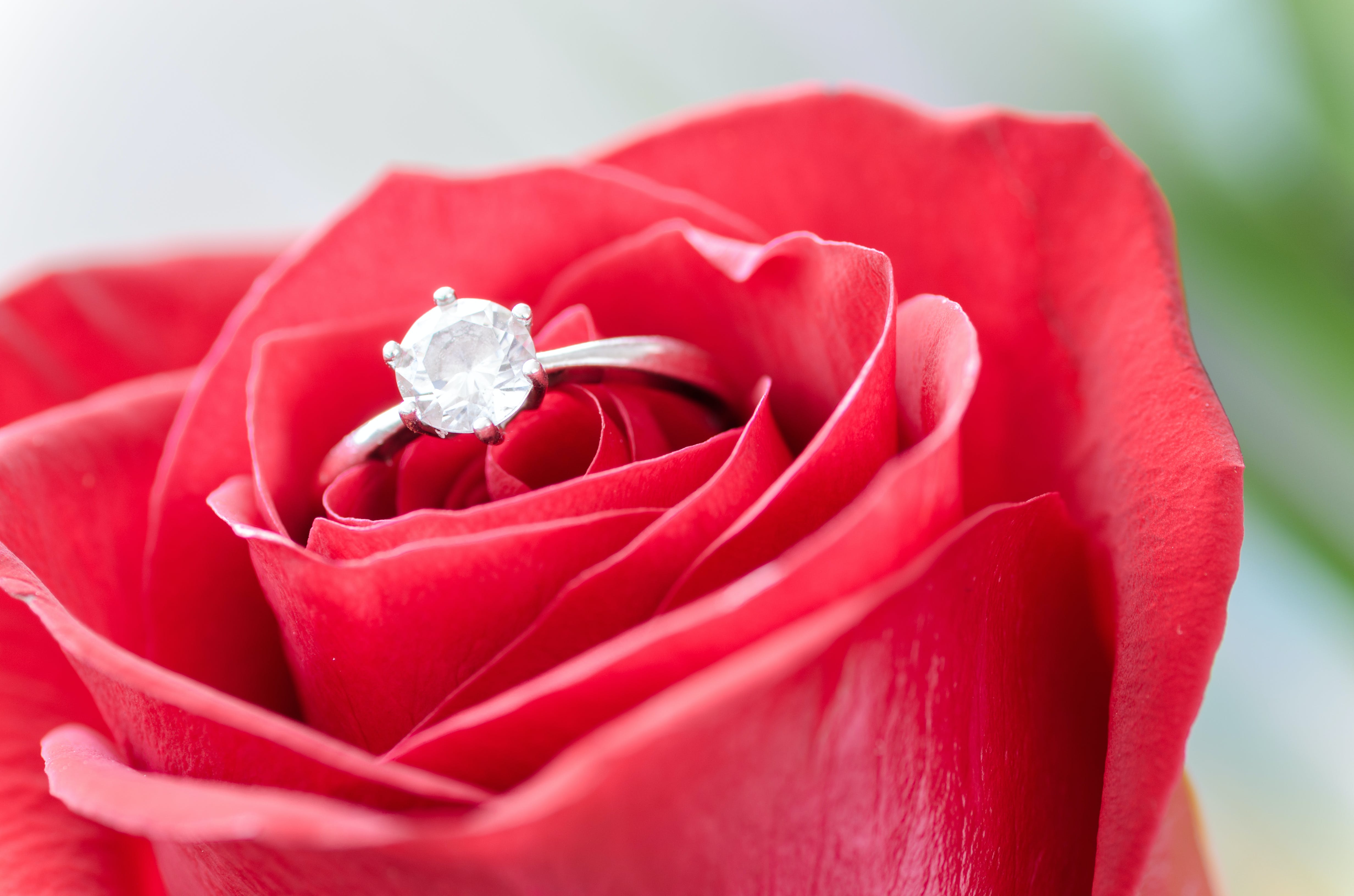 Shine Bright this Season: Preparing with Your Diamond Ring