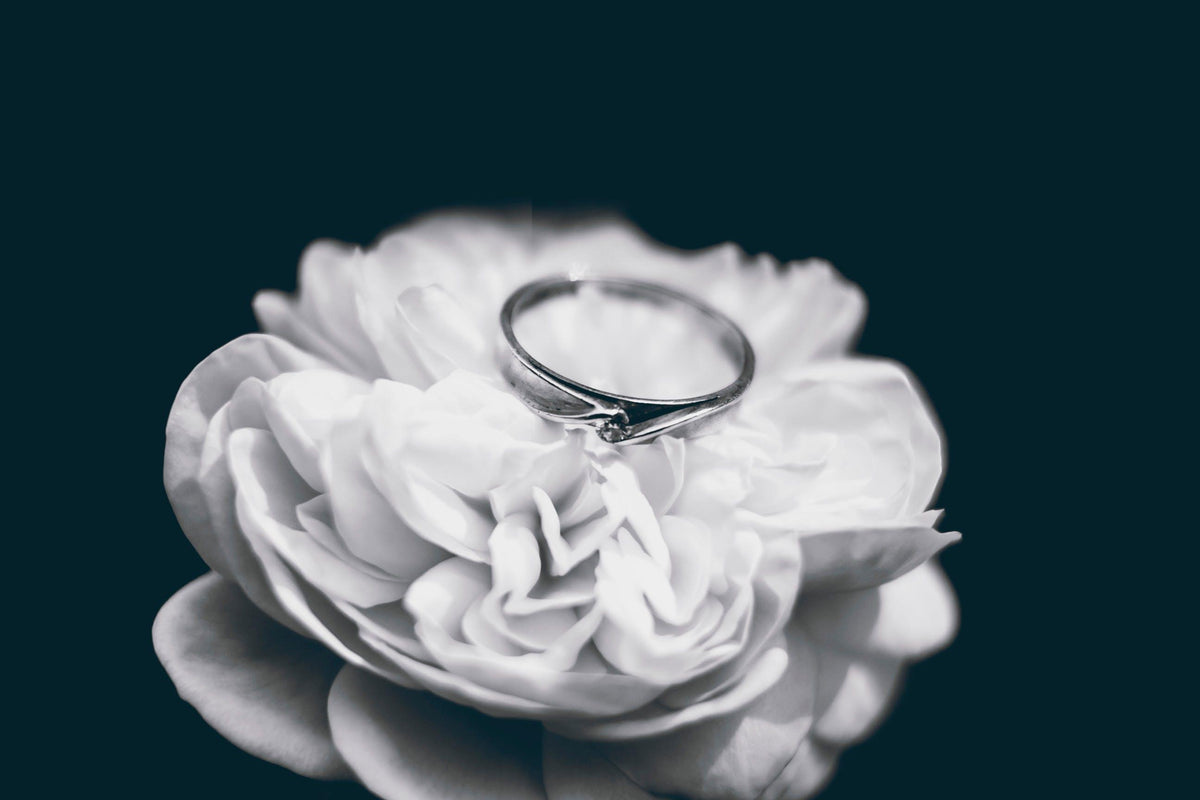 Ringing in Forever: Your Complete Guide to Planning the Ideal Proposal, Starting with the Diamond Ring - Michael Gabriels