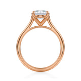 Classic Round Cathedral Ring  (2.70 Carat E-VVS2)