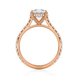 Round Pave Cathedral Ring With Pave Basket  (3.50 Carat D-VS1)