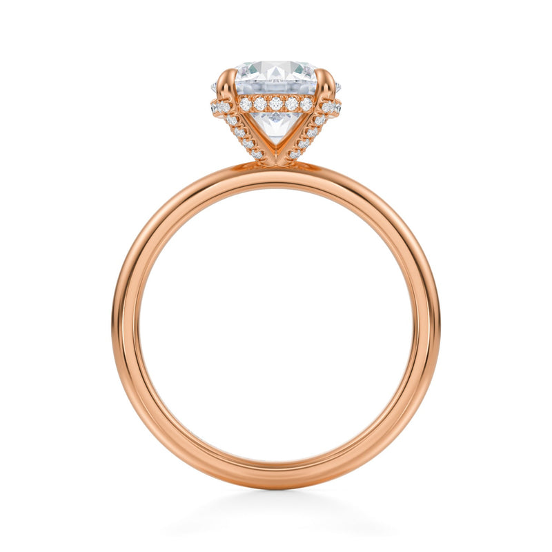 Round Solitaire Ring With Pave Basket  (1.20 Carat E-VS1)