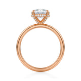 Round Solitaire Ring With Pave Basket  (1.00 Carat E-VS1)