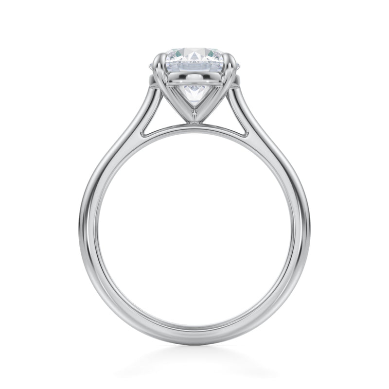 Classic Round Cathedral Ring  (2.70 Carat E-VVS2)