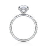 Round Pave Basket With Pave Ring  (3.40 Carat D-VS1)