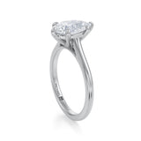 Classic Pear Cathedral Ring  (3.20 Carat G-VVS2)