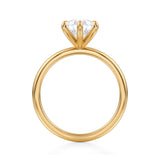 Classic Pear Solitaire Ring (2.50 Carat G-VVS2)