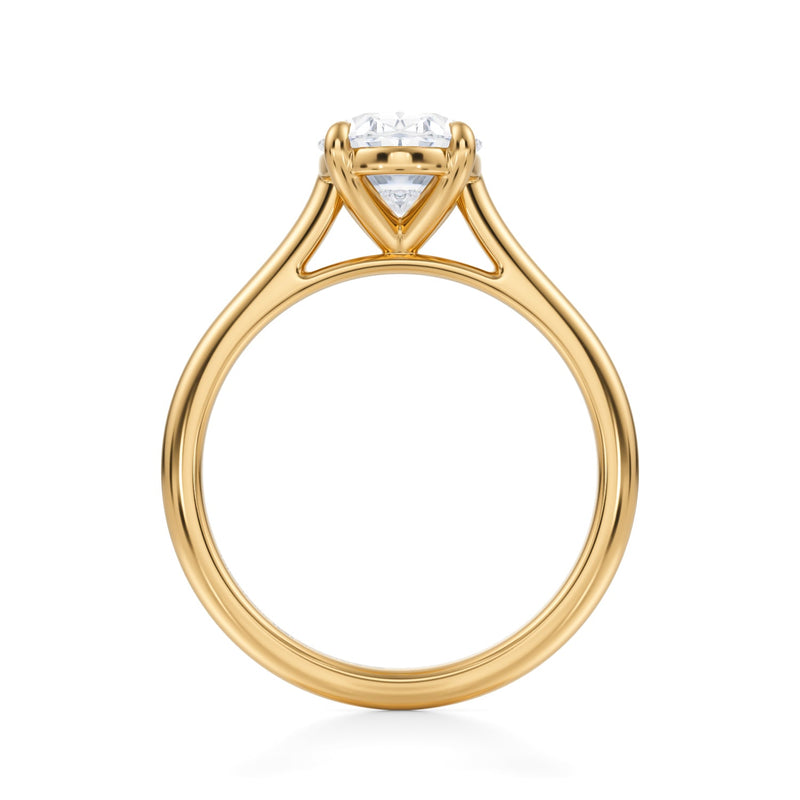 Classic Oval Cathedral Ring  (3.70 Carat G-VVS2)