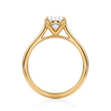 Classic Oval Cathedral Ring  (3.20 Carat D-VVS2)