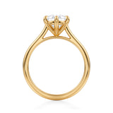 Classic Pear Cathedral Ring  (2.70 Carat F-VVS2)
