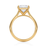 Classic Princess Cathedral Ring  (3.70 Carat F-VS1)