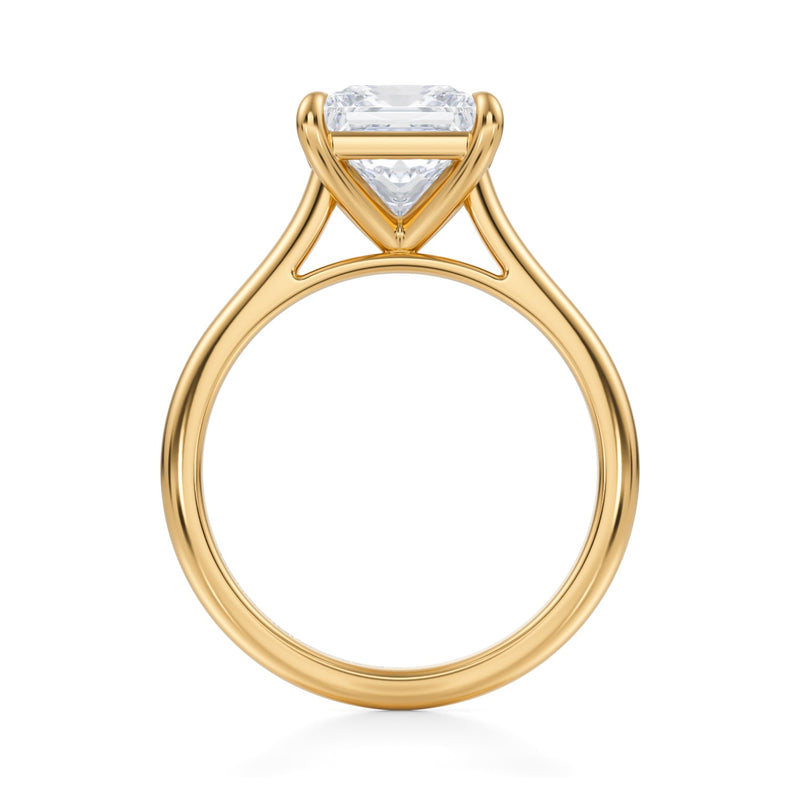 Classic Princess Cathedral Ring  (3.70 Carat F-VS1)