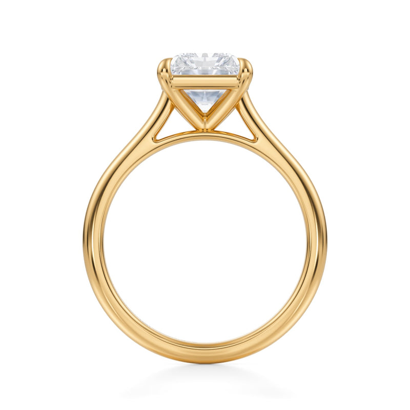 Classic Radiant Cathedral Ring  (3.40 Carat E-VVS2)