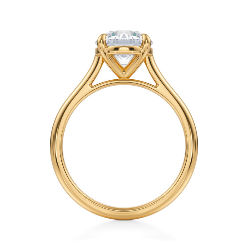 Classic Round Cathedral Ring  (3.20 Carat E-VS1)