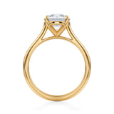 Classic Round Cathedral Ring  (3.20 Carat F-VS1)