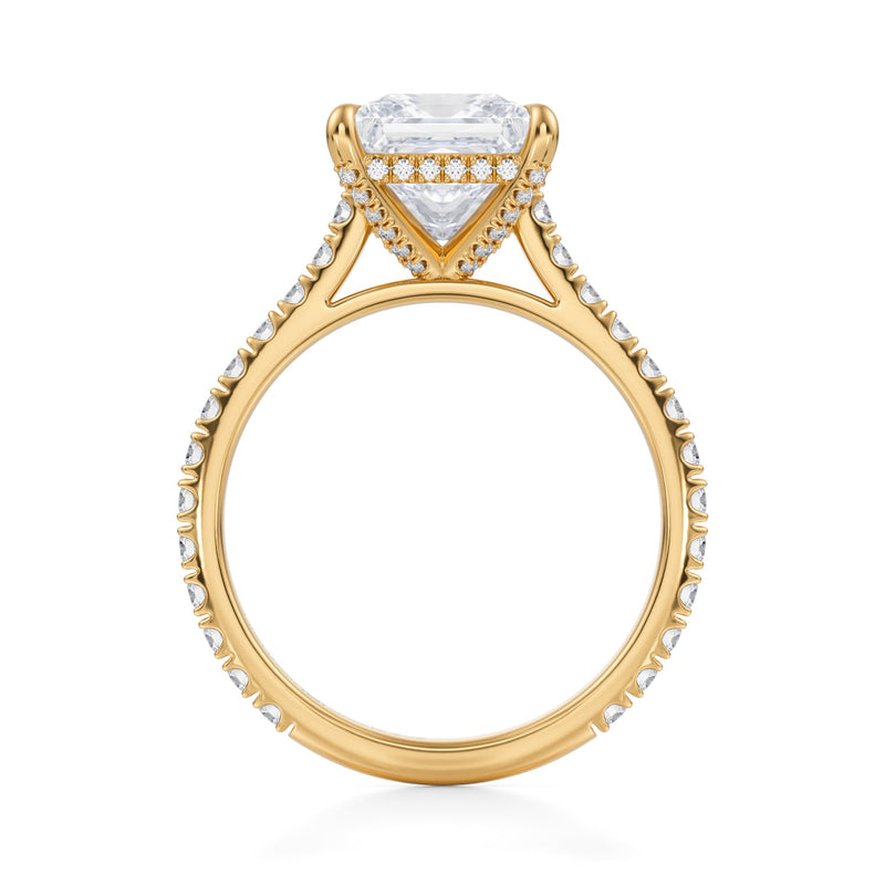 Princess Pave Cathedral Ring With Pave Basket  (3.20 Carat E-VS1)
