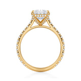 Radiant Pave Cathedral Ring With Pave Basket  (2.70 Carat G-VS1)