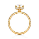 Pear Knife Edge Halo With Pave Ring  (1.00 Carat E-VS1)