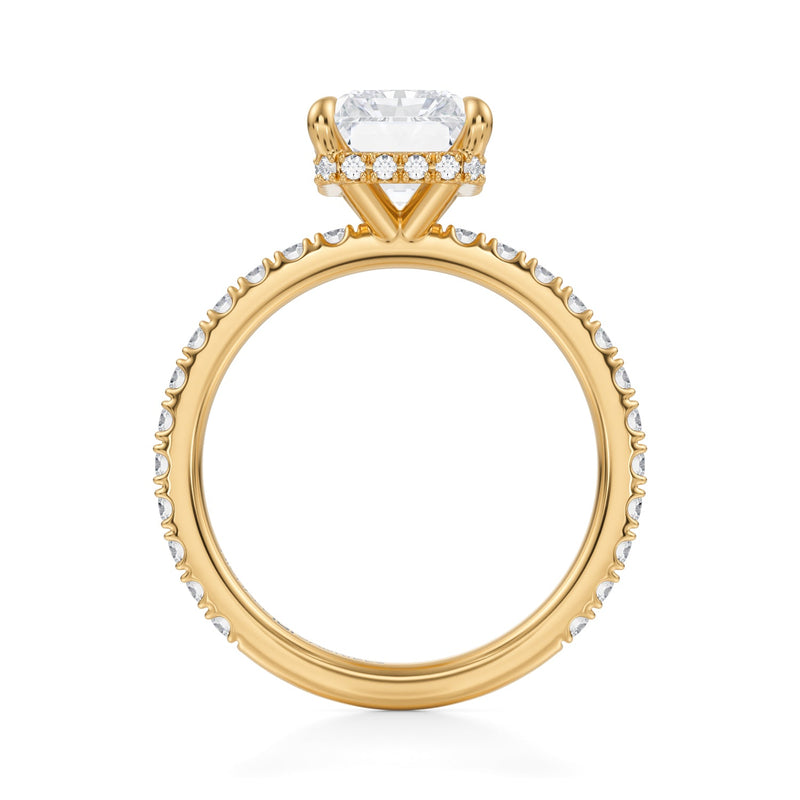 Radiant Wrap Halo With Pave Ring  (3.00 Carat E-VVS2)