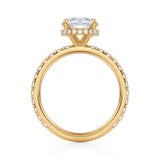 Round Wrap Halo With Pave Ring  (2.70 Carat D-VS1)