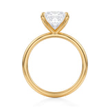 Classic Princess Solitaire Ring (3.50 Carat D-VS1)