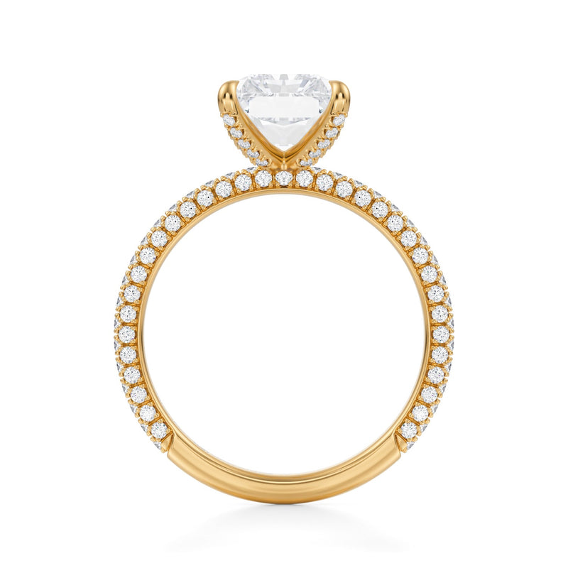 Radiant Wrap Halo With Pave Ring  (3.50 Carat D-VS1)