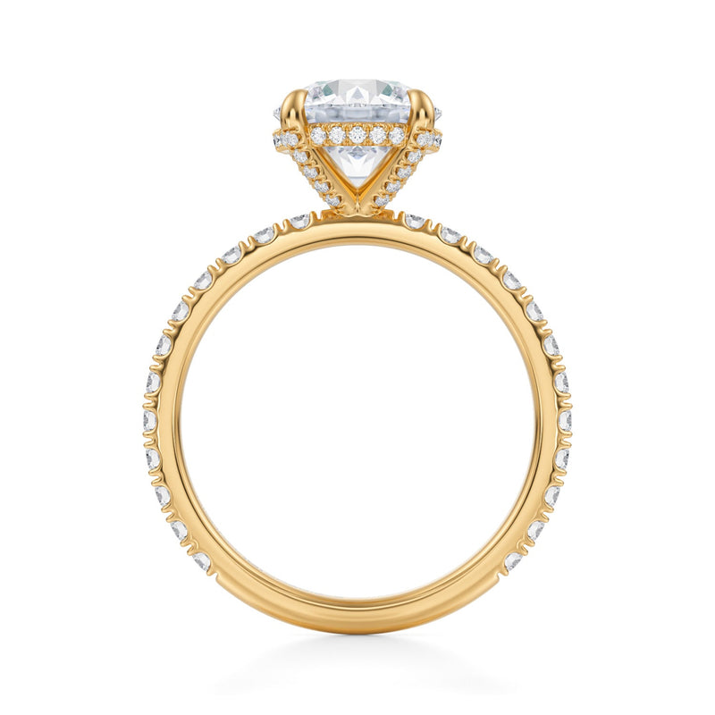 Round Pave Basket With Pave Ring  (3.40 Carat F-VS1)