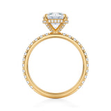 Round Pave Basket With Pave Ring  (3.70 Carat E-VS1)