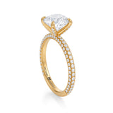 Round Halo With Trio Pave Ring  (3.40 Carat F-VS1)