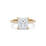 Princess Pave Cathedral Ring With Pave Basket  (3.70 Carat G-VS1)