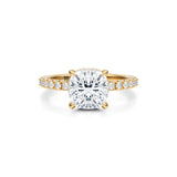 Cushion Wrap Halo With Pave Ring  (3.20 Carat E-VS1)