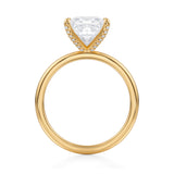 Princess Solitaire Ring With Pave Prongs  (3.70 Carat F-VS1)