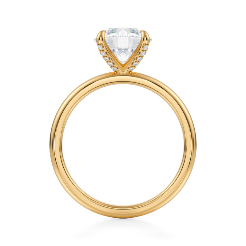 Round Solitaire Ring With Pave Prongs  (3.20 Carat E-VS1)