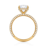 Cushion Pave Basket With Trio Pave Ring  (3.70 Carat E-VS1)