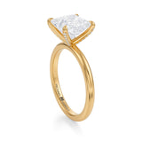Princess Solitaire Ring With Pave Prongs  (3.00 Carat E-VS1)