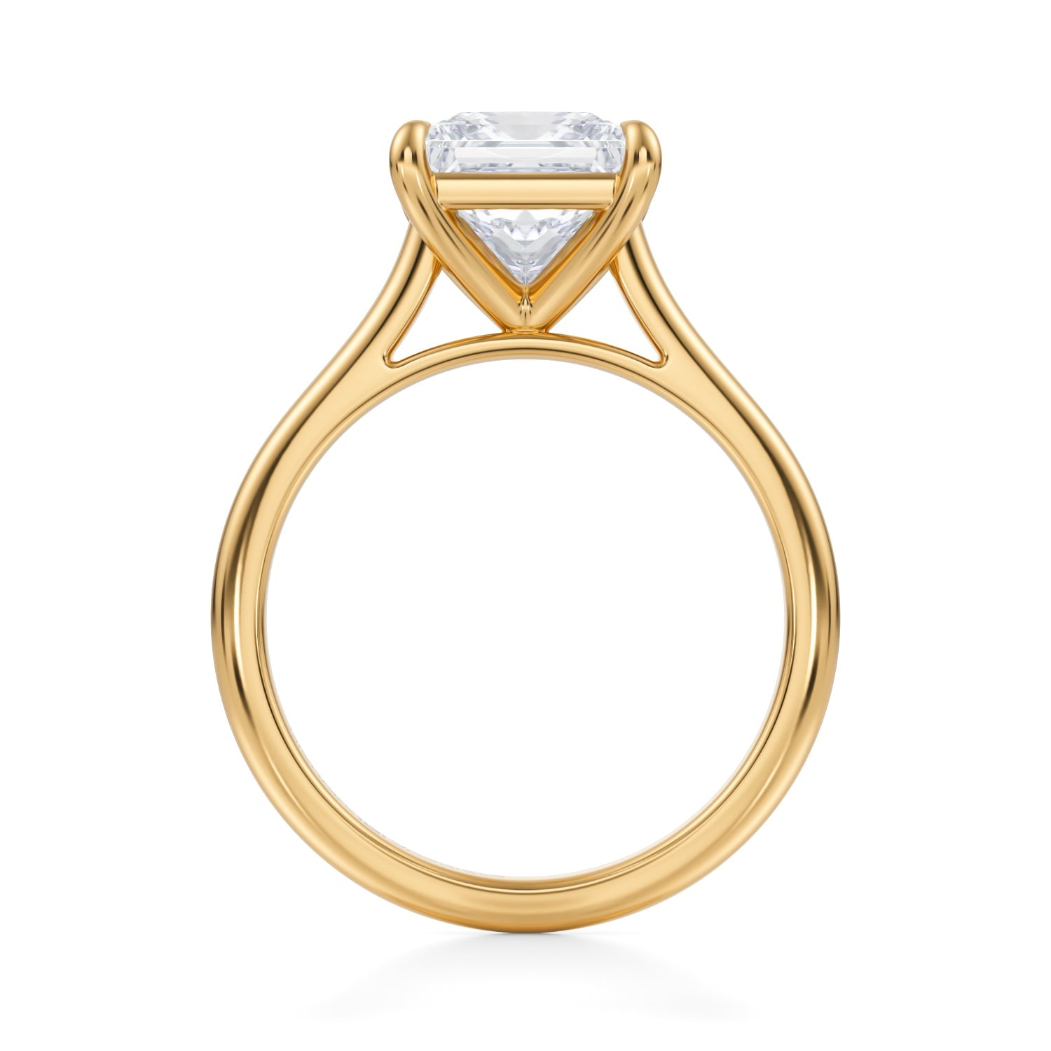 Classic Princess Cathedral Ring (1.00 Carat D-VS1) - Michael Gabriels