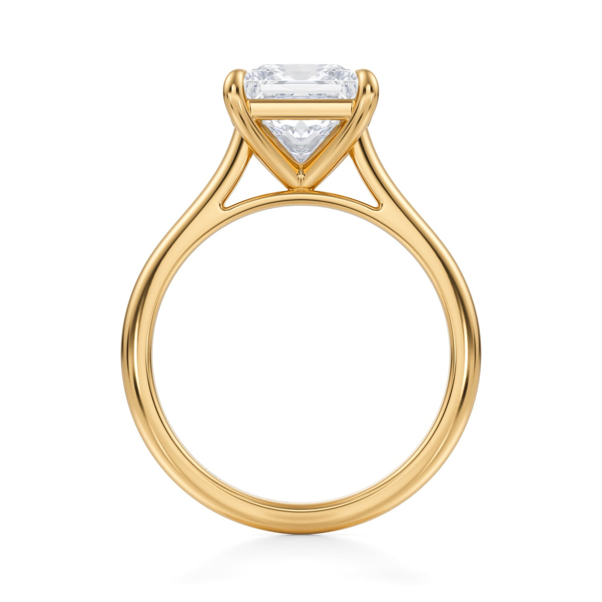 Classic Princess Cathedral Ring (1.50 Carat E-VS1) - Michael Gabriels