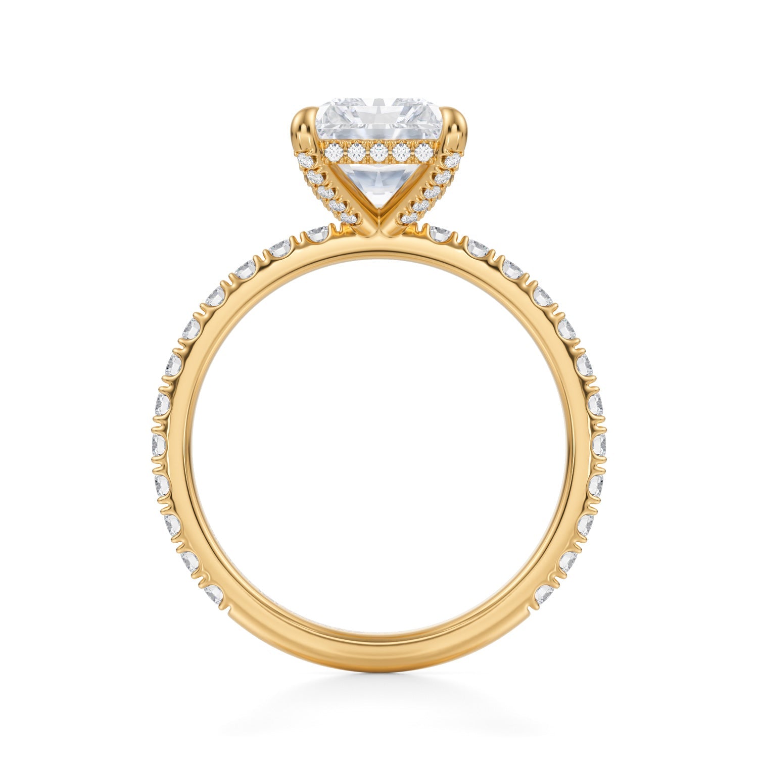 Radiant Pave Basket With Pave Ring (3.00 Carat E-VS1) - Michael Gabriels