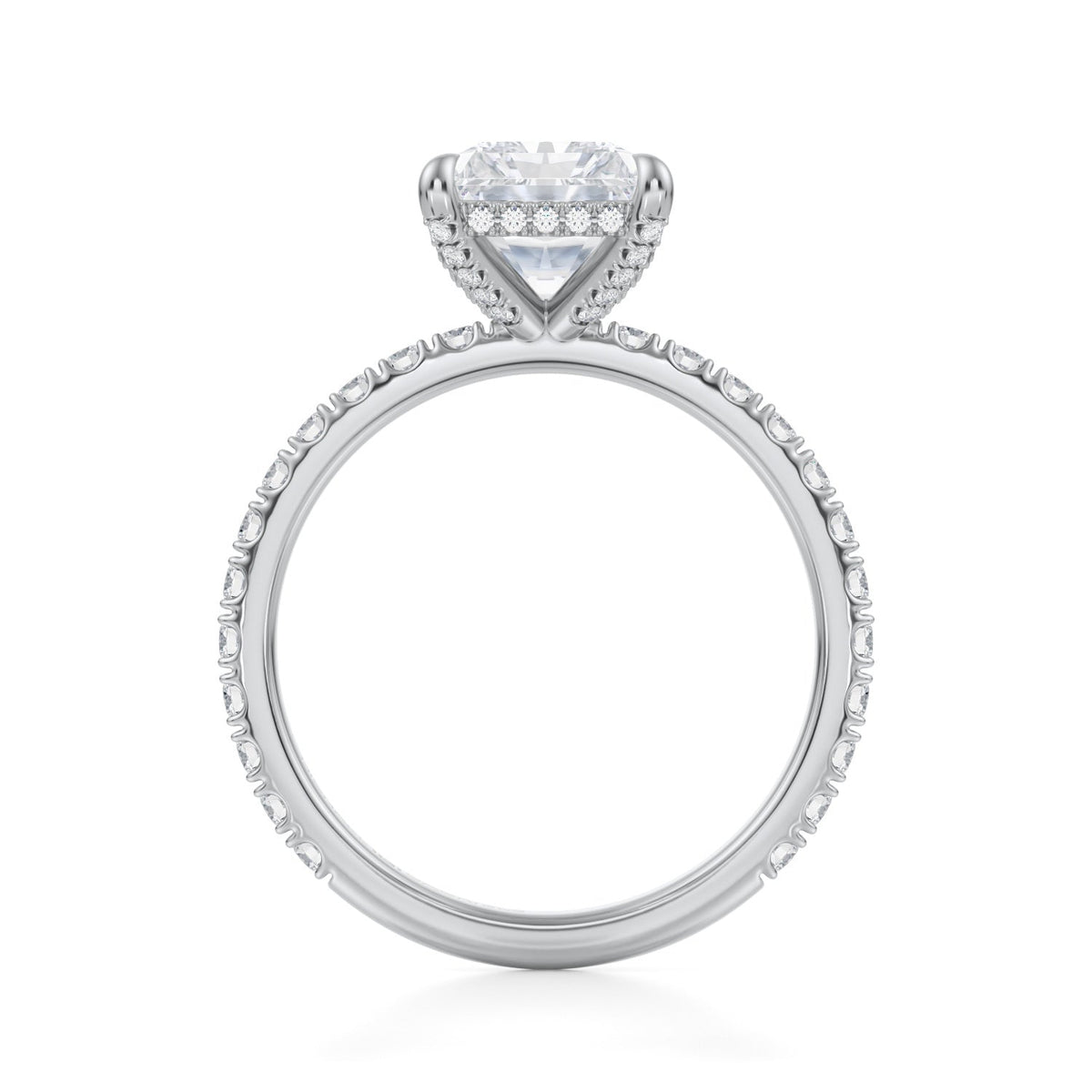 Radiant Pave Basket With Pave Ring (3.00 Carat E-VS1) - Michael Gabriels